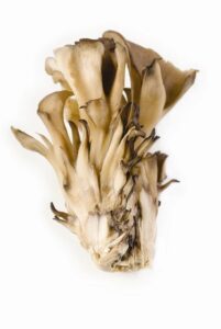 Boost Your Immunity with Gourmet Mushrooms Image
